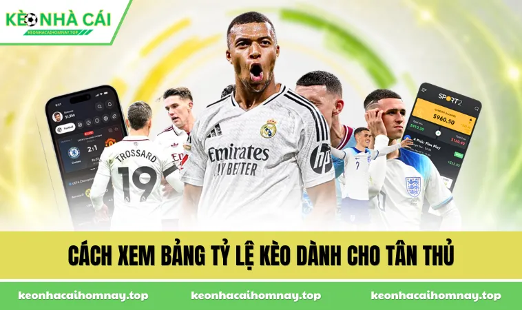 Cách xem bảng tỷ lệ kèo dành cho tân thủ