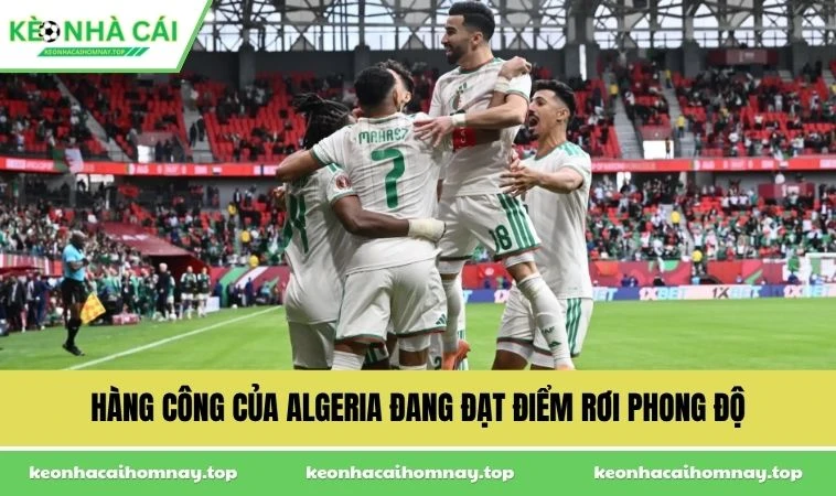 Hàng công của Algeria đang đạt điểm rơi phong độ