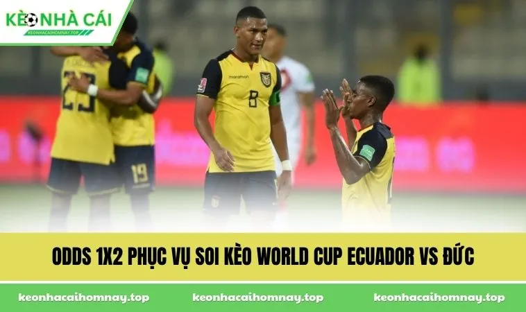 Odds 1x2 phục vụ soi kèo World Cup Ecuador vs Đức
