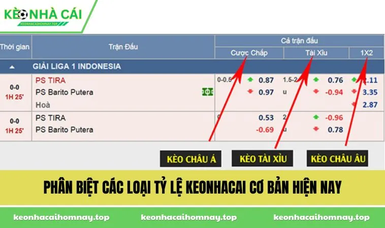 phan biet cac loai ty le keonhacai co ban hien nay Phân biệt các loại tỷ lệ keonhacai cơ bản hiện nay