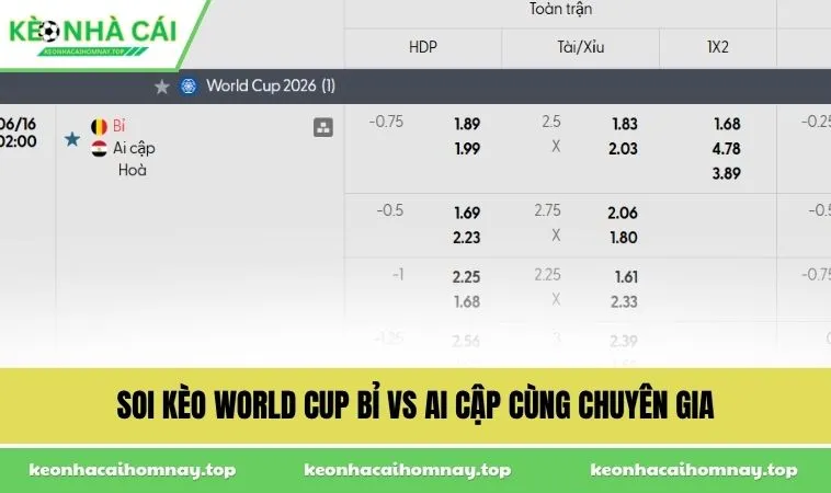 soi keo world cup bi vs ai cap cung chuyen gia Soi kèo World Cup Bỉ vs Ai Cập cùng chuyên gia