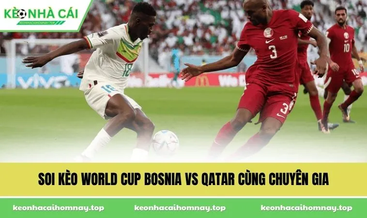 Soi kèo World Cup Bosnia vs Qatar cùng chuyên gia