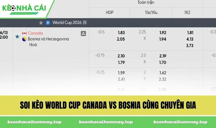 soi keo world cup canada vs bosnia cung chuyen gia Soi kèo World Cup Canada vs Bosnia cùng chuyên gia