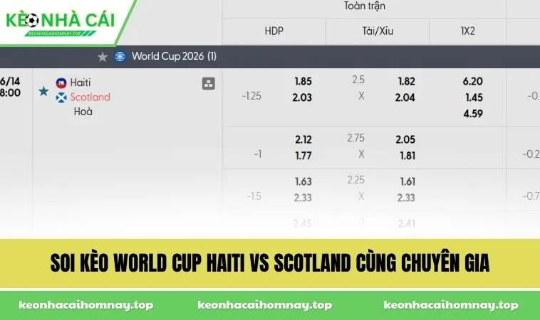Soi kèo World Cup Haiti vs Scotland cùng chuyên gia