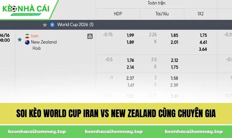 soi keo world cup iran vs new zealand cung chuyen gia Soi kèo World Cup Iran vs New Zealand cùng chuyên gia