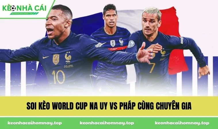 Soi kèo World Cup Na Uy vs Pháp cùng chuyên gia