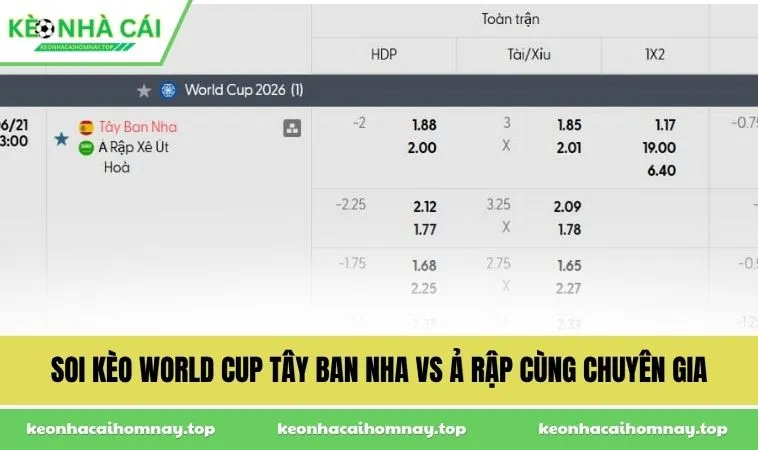 Soi kèo World Cup Tây Ban Nha vs Ả Rập cùng chuyên gia