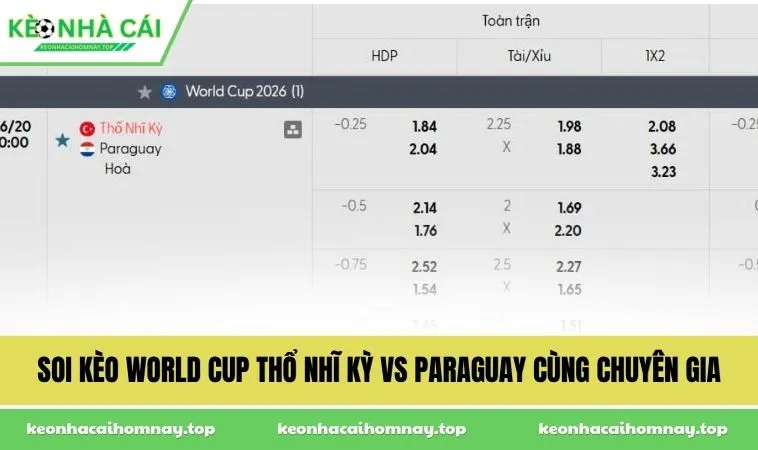 soi keo world cup tho nhi ky vs paraguay cung chuyen gia Soi kèo World Cup Thổ Nhĩ Kỳ vs Paraguay cùng chuyên gia