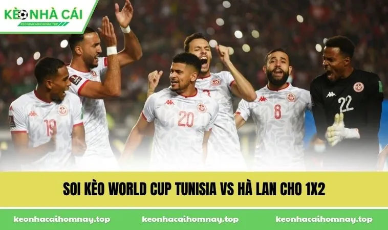 soi keo world cup tunisia vs ha lan cho 1x2 1 Soi kèo World Cup Tunisia vs Hà Lan cho 1x2