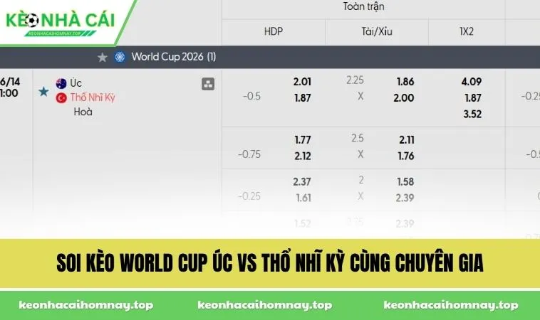 soi keo world cup uc vs tho nhi ky cung chuyen gia Soi kèo World Cup Úc vs Thổ Nhĩ Kỳ cùng chuyên gia